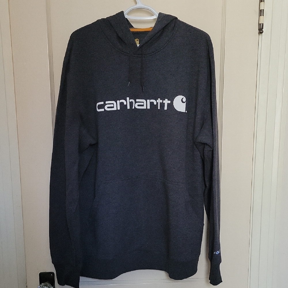 Carhartt Men's Relaxed Fit Hoodie, grey, XL